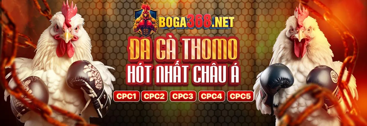 Các loại kèo cược thể thao đa dạng tại 98win